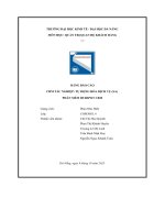 tiểu luận bảng báo cáo crm tác nghiệp tự động hóa dịch vụ saphần mềm hubspot crm