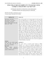 TỔNG THUẬT MỘT SỐ NGHIÊN CỨU VỀ GIÁO DỤC STEM: CƠ HỘI VÀ THÁCH THỨC TẠI VIỆT NAM