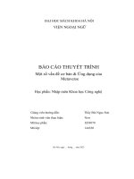 Báo Cáo Thuyết Trình Một Số Vấn Đề Cơ Bản & Ứng Dụng Của Metaverse.pdf
