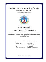 Chuyên đề thực tập tốt nghiệp: Đánh giá hiệu quả hoạt động kinh doanh của Công ty Chứng khoán Rồng Việt