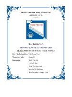 tiểu luận báo cáo môn học quản trị tài chính du lịch đề bài phân tích các tỉ số của công ty vietravel