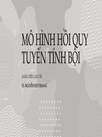 [ Slide Thuyết Trình ] MÔ HÌNH HỒI QUY TUYẾN TÍNH BỘI