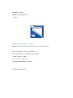 tiểu luận quản trị đa văn hoá chủ đề tìm hiểu về văn hoá kinh doanh của phần lan