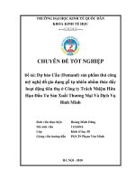 Chuyên đề tốt nghiệp: Dự báo Cầu (Demand) sản phẩm thủ công mỹ nghệ đồ gia dụng gỗ tự nhiên nhằm thúc đẩy hoạt động tiêu thụ ở Công ty Trách Nhiệm Hữu Hạn Đầu Tư Sản Xuất Thương Mại Và Dịch Vụ Bình Minh