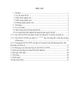 skkn cấp tỉnh phát triển năng lực giải quyết vấn đề cho học sinh lớp 12 thông qua dạy học chủ đề giá trị lớn nhất giá trị nhỏ nhất của hàm số