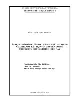 skkn cấp tỉnh áp dụng mô hình lớp học đảo ngược flipped classroom kết hợp với chuyển đổi số trong dạy học sinh học hiện nay