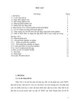 skkn cấp tỉnh nâng cao hiệu quả giải các bài toán động lượng sử dụng quy tắc hình bình hành bằng hệ thống bài tập phát huy năng lực tư duy tìm tòi sáng tạo của học sinh