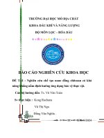 đề tài nghiên cứu chế tạo nano đồng chitosan có khả năng khắng nấm định hướng ứng dụng bảo vệ thực vật