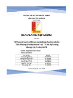 Kế Hoạch Truyền Thông Marketing Cho Sản Phẩm Bia Không Cồn Heineken” Tại Tp.hà Nội Trong Tháng 5,6,7 Năm 2023..Pdf