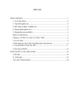 skkn cấp tỉnh phát triển năng lực giao tiếp và hợp tác cho hs thpt bằng việc sử dụng các kỹ thuật dạy học tích cực trong bộ môn hóa học