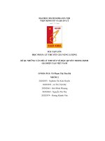 bài tập lớn đề tài những vấn đề lý thuyết về độc quyền trong định giá điện tại việt nam