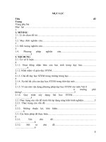 skkn cấp tỉnh vận dụng giáo dục stem vào dạy học chủ đề động lượng định luật bảo toàn động lượng