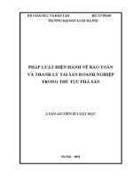 pháp luật hiện hành về bảo toàn và thanh lý tài sản doanh nghiệp trong thủ tục phá sản
