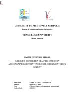 master internship report improving distribution channels efficiency at quang ninh investment and import export joint stock company