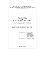 Báo Cáo Ngành Khoa Học Máy Tính Chủ Đề Các Chuẩn Kết Nối.pdf
