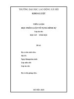 TIỂU LUẬN HỌC PHẦN LUẬT TỐ TỤNG HÌNH SỰ
