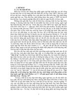 skkn cấp tỉnh tạo hứng thú và kỹ năng học lập trình cho học sinh bằng cách lồng ghép cả hai loại ngôn ngữ lập trình python và c để giải quyết một số nội dung trong bài xâu kí tự tin học 10