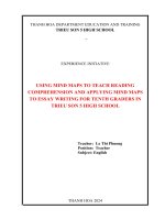 skkn cấp tỉnh using mind maps to teach reading comprehension and applying mind maps to essay writing for tenth graders in trieu son 5 high school