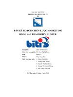 bản kế hoạch chiến lược marketing dòng sản phẩm bitis hunter