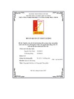 đồ án quản lý chất lượng nghiên cứu yếu tố ảnh hưởng đến sự lựa chọn sản phẩm nước táo lên men strongbow cider của người tiêu dùng trên 18 tuổi tại địa bàn thành phố hà nội