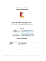 Báo Cáo Tiểu Luận Học Phần Mô Phỏng Hoạt Động Kinh Doanh.pdf