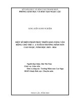 skkn cấp tỉnh một số biện pháp phát triển khả năng vận động cho trẻ 3 4 tuổi b ở trường mầm non cao ngọc năm học 2023 2024