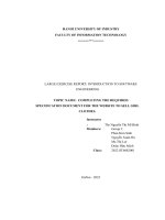 Topic Name Completing The Required Specification Document For The Website To Sell Girl Clothes..pdf