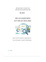 Đồ Án Nhập Môn Kỹ Thuật Hóa Học Đề Tài Tìm Hiểu Về Phân Bón Và Ngành Phân Bón.pdf