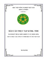 Báo Cáo Thực Tập Tại Công Ty UMC Việt Nam