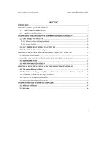 đề án chiến lược kinh doanh g sản phẩm vinfast của công ty tnhh sản xuất và kinh doanh vinfast