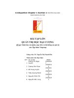 bài tập lớn quản trị học đại cương đề tài trình bày sứ mệnh mục tiêu và hệ thống các giá trị của tập đoàn vingroup