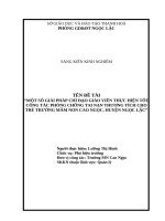 skkn cấp tỉnh một số giải pháp chỉ đạo giáo viên thực hiện tốt công tác phòng chống tai nạn thương tích cho trẻ trong trường mầm non cao ngọc huyện ngọc lặc