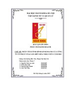 chủ đề phân tích tình hình kinh doanh của công ty cổ phần vinacafe biên hòa theo viễn cảnh bsc