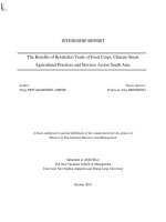 the benefits of borderless trade of food crops climate smart agricultural practices and services across south asia