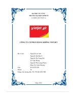 công ty cổ phần hàng không vietjet