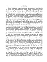 skkn cấp tỉnh phân dạng và sử dụng bài tập thực tiễn để phát triển năng lực giải quyết vấn đề trong dạy học chương 2 nitrogen sulfur môn hóa học lớp 11