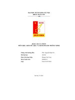 báo cáo cá nhân kho dữ liệu và kinh doanh thông minh