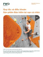 (DÀNH CHO BÁN HÀNG QUA KÊNH GIAO DỊCH ĐIỆN TỬ) QUY TẮC VÀ ĐIỀU KHOẢN SẢN PHẨM BẢO HIỂM TAI NẠN CÁ NHÂN ĐƯỢC PHÊ CHUẨN THEO CÔNG VĂN SỐ 14543BTC-QLBH, NGÀY 22 THÁNG 12 NĂM 2021 CỦA BỘ TÀI CHÍNH VÀ CÔNG VĂN SỬA ĐỔI, BỔ SUNG QUY TẮC ĐIỀU KHOẢN SỐ FWDVN CEO 0
