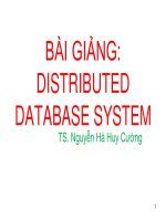 1 BÀI GIẢNG: DISTRIBUTED DATABASE SYSTEM