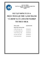 PHÂN TÍCH LỢI THẾ CẠNH TRANH VÀ ĐỊNH VỊ CỦA DOANH NGHIỆP TH TRUE MILK