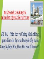 Phân tích và Chứng Minh những quan điểm chỉ đạo của Đảng để đẩy mạnh Công Nghiệp Hóa, Hiện Đại Hóa đất nước