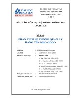 BÁO CÁO MÔN HỌC HỆ THỐNG THÔNG TIN LOGISTICS ĐỀ TÀI PHÂN TÍCH HỆ THỐNG QUẢN LÝ HÀNG TỒN KHO ODOO