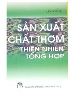 sản xuất chất thơm thiên nhiên tổng hợp vương đình đệ