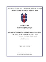 Các Yếu Tố Ảnh Hưởng Đến Rủi Ro Tín Dụng Của Các Ngân Hàng Thương Mại Việt Nam.pdf