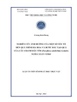 Nghiên cứu ảnh hưởng của một số yếu tố đến quá trình ra hoa và bước đầu tạo quả của cây chanh dây tím (Passiflora edulis Sims f. edulis) nuôi cấy in vitro