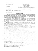 k10 xing nhã trả thù cho cha trì hoãn nguyễn thị thu trang