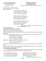 đề 11 đây thôn vĩ dạ anh vinh