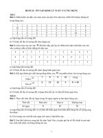 phieu b29 tan so tuong doi va bieu do tan so tuong doi