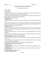 b40 hinh tru hinh non