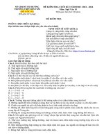 đề 10 nlxh thuyết phục từ bỏ thói quen đổ lỗi né tránh hường vũ1